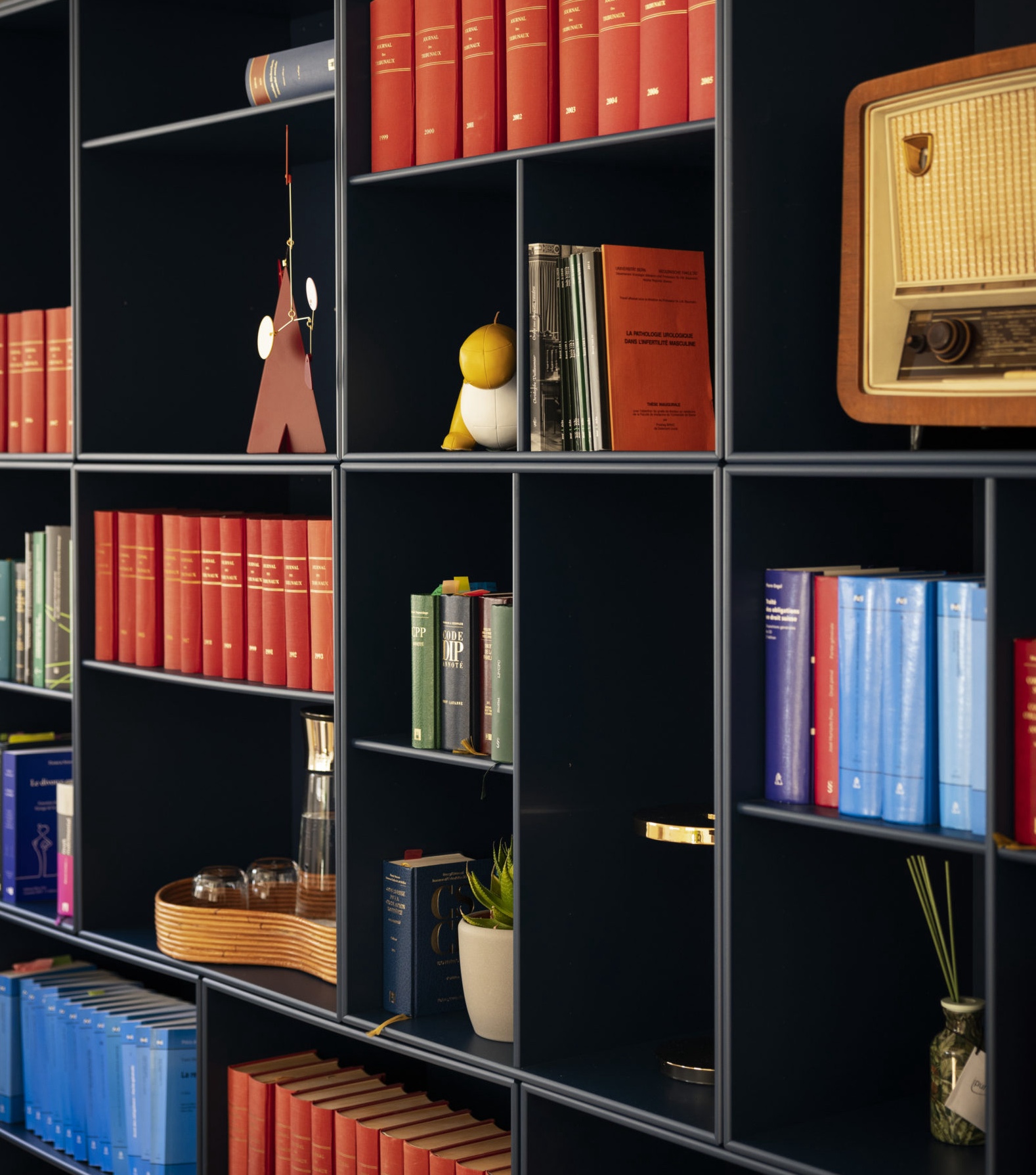 Droit des assurances (privées et sociales)